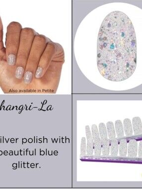 Color Street Shangri-La Silver Glitter Nail Wraps New